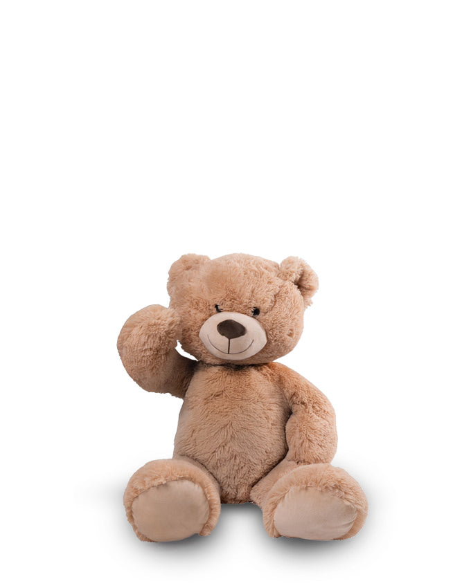 Teddy (Klein)